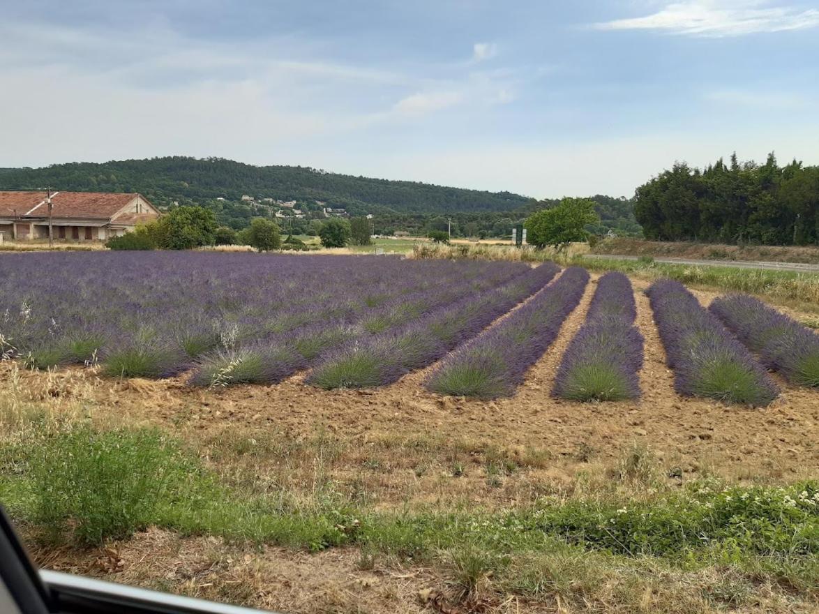 Maison De Famille Entre Vigne Et Lavande Verfeuil ภายนอก รูปภาพ